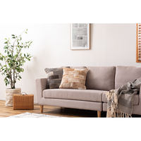 東谷 ROOM ESSENCE クッション 幅450×奥行450×高さ160mm ベージュ FAB-102BE 1個（直送品）