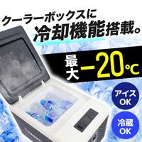 サンコー どこでもミニ冷凍庫9L GBGFZ9HGY 1台