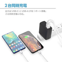 USB充電器 PD65W対応 USB-C & USB-A IXAC65PD センチュリー
