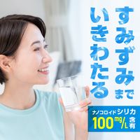 アース製薬 中硬水 ナノコロイドシリカ水 500ml 1セット（48本）