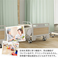 【5cm単位】ベット周り、間仕切り｜サンゲツ 医療用カーテン<グリーン>_幅180cmｘ丈180cm san-nmedi-N-gr 1枚（直送品）