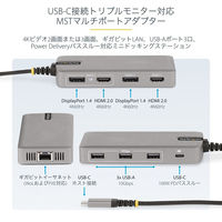 Startech.com USB-Cハブ 4K3画面 100W LAN Windows 117B-USBC-MULTIPORT 1個（直送品）