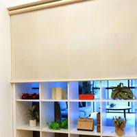 トーソー 【規格品】チェーンタイプ・ロールスクリーン 幅35cm×高さ150cmアイボリー 4975559890470 1セット（直送品）