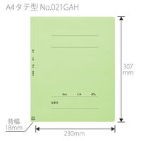 プラス 紙製ファイル フラットファイル ねんくみなまえ A4 タテ グリーン 79586 1冊