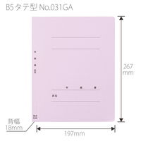 プラス 紙製ファイル フラットファイル 年組氏名 B5 タテ バイオレット 79522 1冊