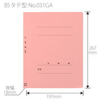 プラス 紙製ファイル フラットファイル 年組氏名 B5 タテ ピンク 79528 1冊
