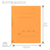 プラス 紙製ファイル フラットファイル 年組氏名 B5 タテ オレンジ 79520 1袋(10冊入)