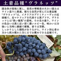 北マケドニア共和国 サンセット ヴァレー 赤ワイン　フルボディ　750ml 1本　東京オペラ