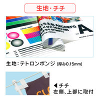 ジャストコーポレーション AM-A-0175 大感謝祭 1枚（直送品）