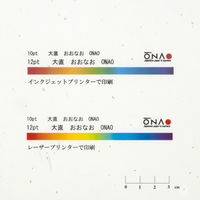 大直 大礼紙 金銀砂子 B4 20枚入 206050190 1袋(20枚)