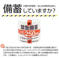 イトマン 緊急備蓄1R250S 10250004 1ロール