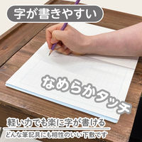 共栄プラスチック 下敷 しっかりシタ字キ A4 方眼/無地リバーシブル ラムネ SHS-A4-04 1本