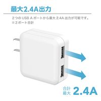 センチュリー コンセント用充電器2.4A AC24-A2 1台（直送品）