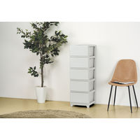 JEJアステージ　デコニーシーヴォ5段　ライトグレー　　1台