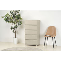 JEJアステージ　壁付デコニーシーヴォワイド5段　グレージュ　　1台