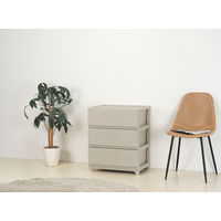 JEJアステージ　デコニーシーヴォワイド3段　グレージュ　　1台