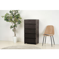 JEJアステージ　壁付デコニーシーヴォワイド5段　ダークブラウン　　1台