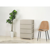 JEJアステージ　デコニーシーヴォワイド4段　グレージュ　　1台