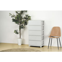 JEJアステージ　デコニーシーヴォワイド5段　ライトグレー　　1台