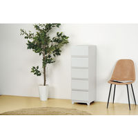 JEJアステージ　壁付デコニーシーヴォ5段　ライトグレー　　1台