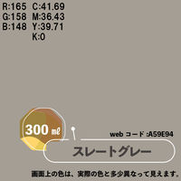 カンペハピオ マットペイントスプレー スレートグレー 300ml 9025039 1本