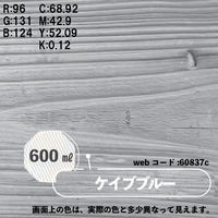 カンペハピオ ボタニカルペイント ケイブブルー 600ml 9025089 1個（直送品）