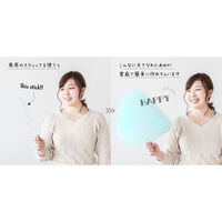 ライソン ジャンボわたあめ屋さん KDCC-007R 1台