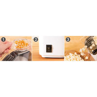 ライソン ポップコーンメーカー PN-02 KDPN-002W 1個