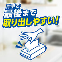 キッチンペーパー エリエール 超吸収キッチンタオル シートタイプ（100組2枚重ね×2個）2パック 大王製紙