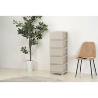 JEJアステージ　デコニーシーヴォ5段　グレージュ　　1台