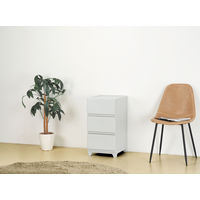 JEJアステージ　壁付デコニーシーヴォ3段　ライトグレー　　1台