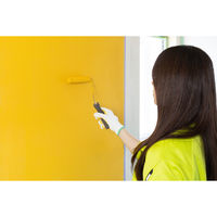 あいもり ほたて練り漆喰ムース 蜜柑 5kg HM-5 1缶（直送品）