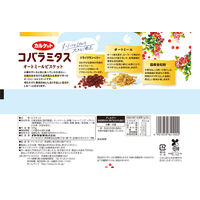 コバラミタス オートミールビスケット 105g 1セット（1個×6） クッキー ビスケット イトウ製菓