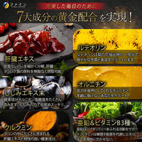 金のしじみウコン肝臓エキスハイパー！120粒 1袋 ファイン