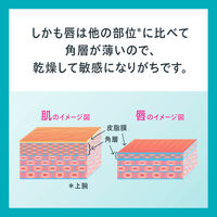 Curel（キュレル） リップケアクリーム 4.2g　花王　敏感肌　リップ