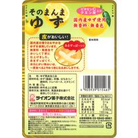 ライオン菓子 そのまんまゆず 23g 4903939015465 1セット(1個×6)