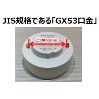 パナソニック フラットランプ φ100ダウンライト 本体+ランプ(GX53口金)セット 昼白色 HH-SL0001N 1セット