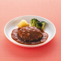 介護食 やわらか食　[冷凍食品] イーエヌ大塚製薬 ハンバーグ 92g 1セット(24個)（直送品）