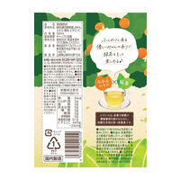 サーフビバレッジ みかんと緑茶 500ml 1セット（48本）