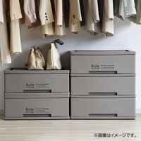 ベストコ 衣装ケース 衣類ケース 収納 1段 ワイド ブラウン Boite MA-4039 1個