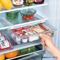 ベストコ リバティーコーポレーション 冷蔵庫 収納 ケース 引き出し L ワームグレー LD-323 1個