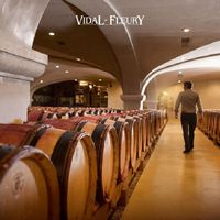 フランス ヴィダル・フルーリー コート・デュ・ローヌ ルージュ 赤ワイン ミディアムボディ 750ml 1本 日本酒類販売