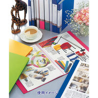 リヒトラブ(LIHIT LAB.) リクエスト クリヤーブック A4タテ 60ポケット 黒（ブラック） G3203-24（わけあり品）