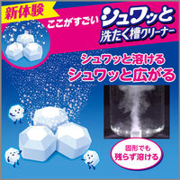 洗浄力 シュワッと洗たく槽クリーナー 除菌 消臭 個装タイプ 3回分 エステー（わけあり品）