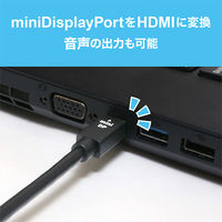 ナカバヤシ miniDisplayPort-HDMI 変換アダプタ 4K対応 DPM-4KA1/BK 1個
