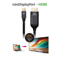 ナカバヤシ miniDisplayPort-HDMI 変換ケーブル 4K対応 2m DPM-4KC20/BK 1本