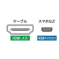 アイネックス HDMI変換アダプタ HDMIーHDMI マイクロ ADV-202 1個 67-9238-45（直送品）