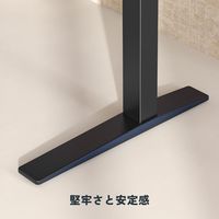 Flexispot 電動昇降フレーム ホワイト E7HW-JA 1台 68-1413-23（直送品）