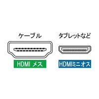 ainex HDMI変換アダプタ HDMIーHDMI ミニ ADV-201 1個 67-9238-44（直送品）