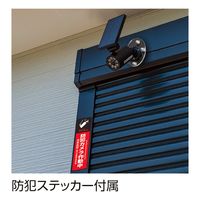 日本緑十字社 ソーラーセンサーライト ダミーカメラタイプ センサーライトー796 195×215×100mm 352136 1台（直送品）